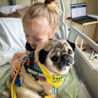 Picture of Hune on a hospital bed with Alfie the Pug