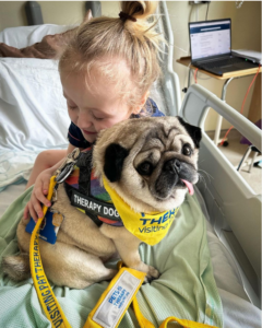 Picture of Hune on a hospital bed with Alfie the Pug