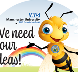 Bee creative by getting involved in North Manchester’s bee campaign