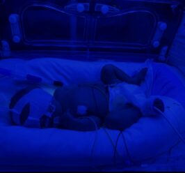 ‘We’ll be forever grateful’: Family thank blood donors who saved their baby’s life