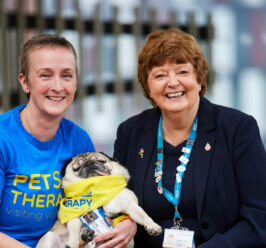 Alfie the pug ‘puts his paws up’ after nearly nine years supporting children in hospital